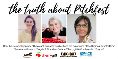 The Truth about Pitchfest